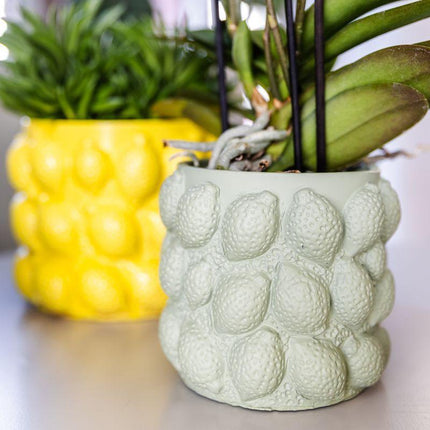 Kolibri Home | Green citrus pot - Ø6cm