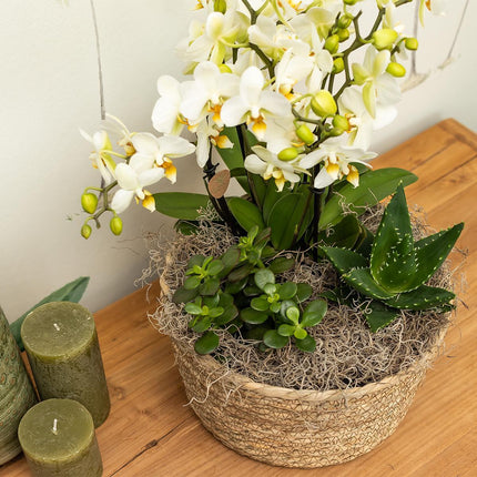 Kolibri Home | Reed Basket Flower Bowl - Woven wicker decorative bowl - Ø30cm
