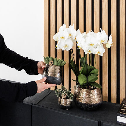 Kolibri Home | Elite pot copper - Ø6cm