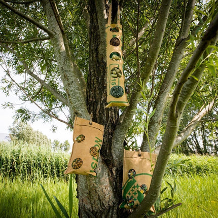 Buffet pour oiseaux | Mélange écologique de nourriture pour oiseaux en sachets de 4 (4 x 300 g)