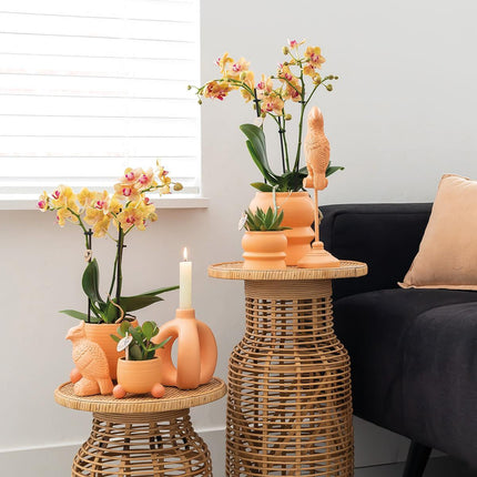 Kolibri Home | Pfirsichfarbener Blumentopf „Rolling Peach“ – Dekorativer Keramiktopf in Pfirsichfarbe – Ø 6 cm
