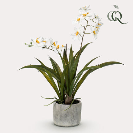 Artificial Orchid Plant - White - ↕45cm - Ø16cm