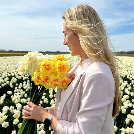 Flowerbulbs Amsterdam – Super Narzissenmix – Nachhaltiger Vorteilsbeutel, 100 Blumenzwiebeln für 2,5 m² Blütenpracht – Größe 12/14