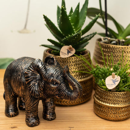 Kolibri Home | Groove flower pot - Gold ceramic decorative pot - pot size - Ø9cm