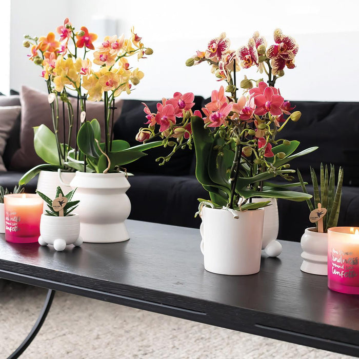 Kolibri Home | Tower witte bloempot - witte keramieken sierpot - Ø9cm