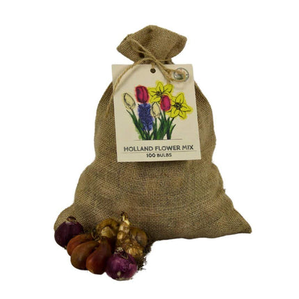 Flowerbulbs Amsterdam – Super Holland Mix – Nachhaltiger Vorteilsbeutel, 100 Blumenzwiebeln für 2,5 m² Blütenpracht – Größe 12+