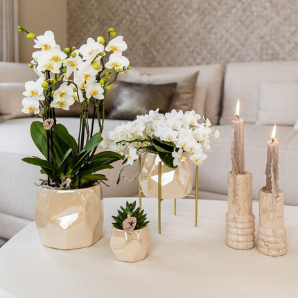 Kolibri Home I Pearl Topf – Travertin – Ø 12 cm