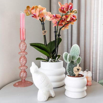 Kolibri Home | Boblepotte hvid - Ø9cm