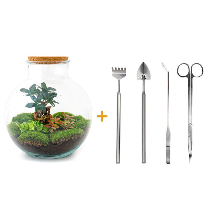 DIY terrarium - Bolder Bob Bonsai - ↕30cm - Rake + Shovel + Tweezer + Scissors