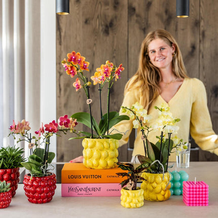 Kolibri Home | Citrus pot yellow - Ø6cm