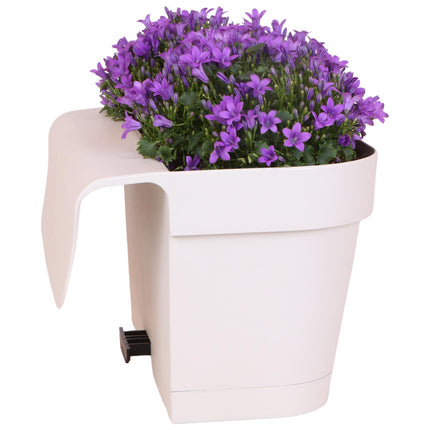 Campanula Addenda Ambella Viola Intenso - Fioriera da balcone bianca con 3 campanule Ø12cm - con sistema di sospensione - Campanula viola - perenni