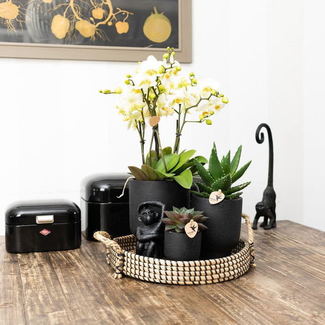 Kolibri Home | Decorative Bowl - Black braided tray Ø30cm