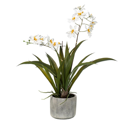 Artificial Orchid Plant - White - ↕45cm - Ø16cm