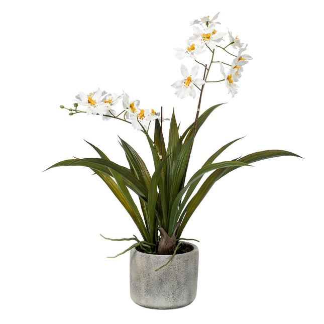 Pianta di orchidea artificiale - Bianca - ↕45cm - Ø16cm