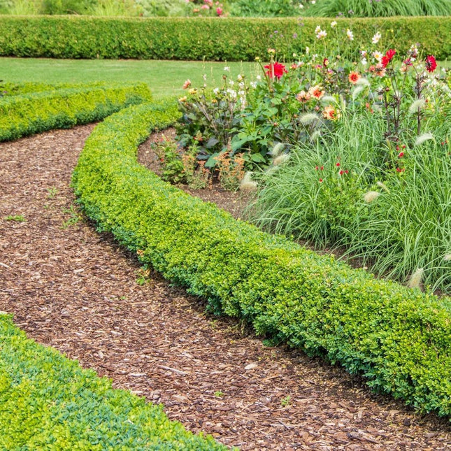 Culvita - Cubierta vegetal premium de corteza de árbol francés - Corteza decorativa de 30-40 mm - Corteza apta para la creación de senderos - 40 litros