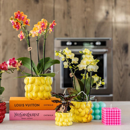 Lemon Flowerpot - Kolibri Home | Citrus pot yellow - Ø9cm