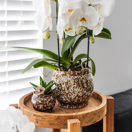 Kolibri Home | Safari pot - Ø12cm