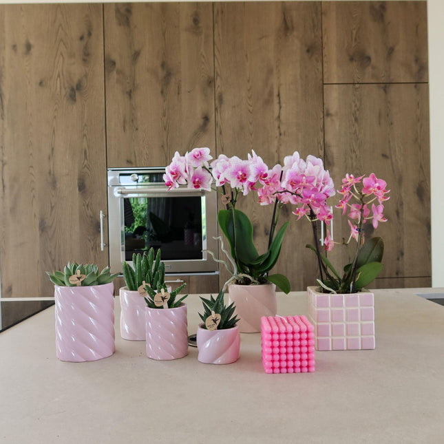 Kolibri Home | Maceta decorativa para dulces | Alta - Rosa - Ø9cm