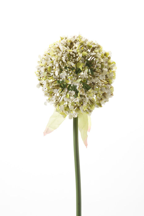 Kunstbloemen Solo - 7x - ↕70cm - Allium Flower - White