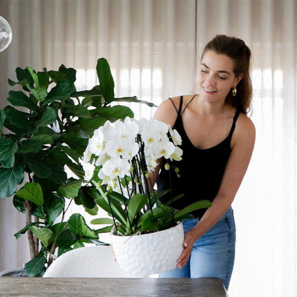 Kolibri Home | Honningskål hvid - Keramik planteskål med honningmønster - egnet som plantekasse - Ø30cm