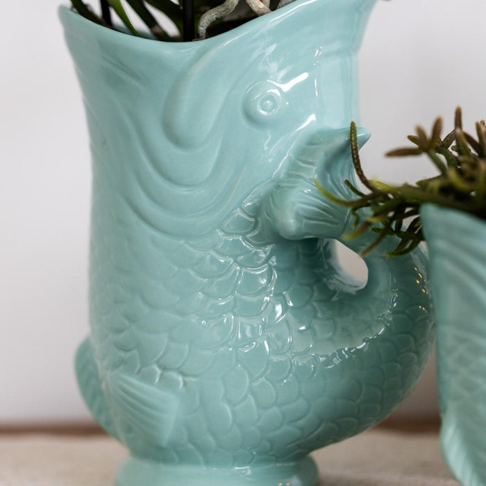 Planten set Fish Turquoise - Set met witte Phalaenopsis orchidee Amabilis Ø9cm en groene plant Succulent Crassula Hobbit Ø6cm - met turquoise keramieken sierpotten