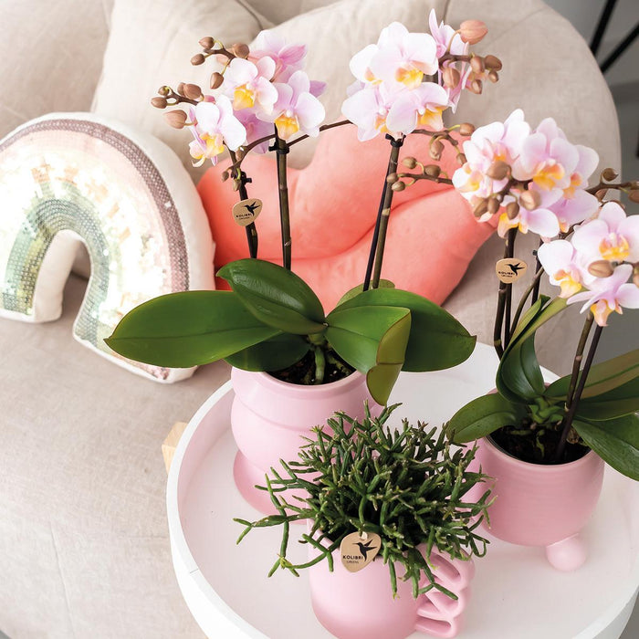 Kolibri Home | Happy Mug roze bloempot - roze keramieken sierpot - Ø9cm