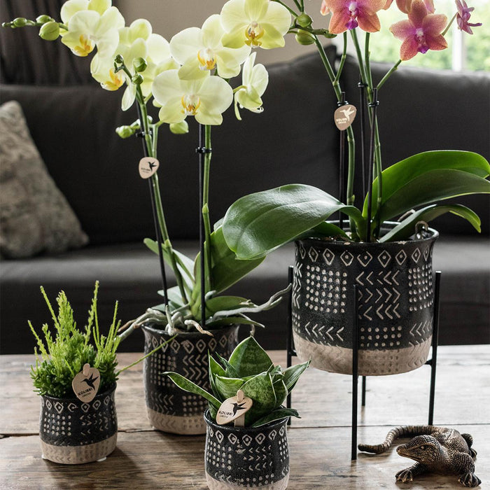Kolibri Home | Plantenstandaard - Zwart metalen planten verhoging - Ø12cm