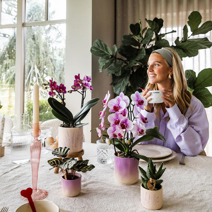 Kolibri Home | Gradience decorative pot - Pink - Ø9cm