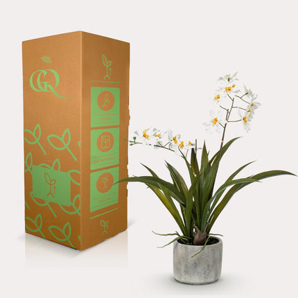 Artificial Orchid Plant - White - ↕45cm - Ø16cm