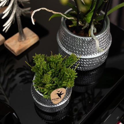 Kolibri Home | Groove flower pot - Golden ceramic decorative pot - Ø6cm