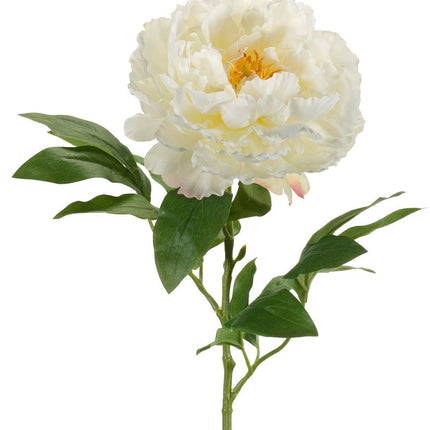 Kunstbloemen Solo - Crème - Peonies - 5x - ↕65cm