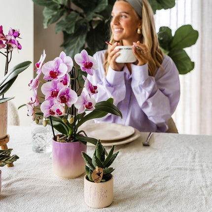 Kolibri Home | Gradience decorative pot - Pink - Ø6cm