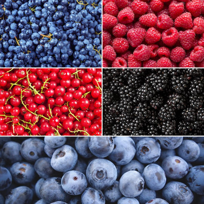Fruitplanten mix Biologisch - set van 5 verschillende soorten "Vruchten oase"