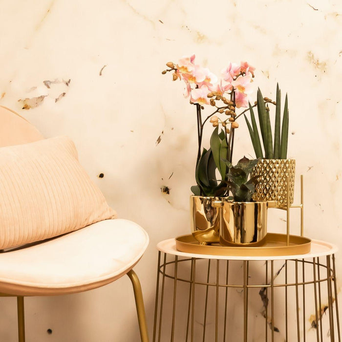 Kolibri Home | Plantenstandaard - Gouden metalen planten verhoging - Ø12cm