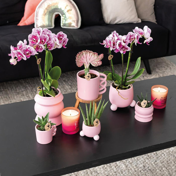 Kolibri Home | Rolling roze bloempot - roze keramieken sierpot - Ø6cm