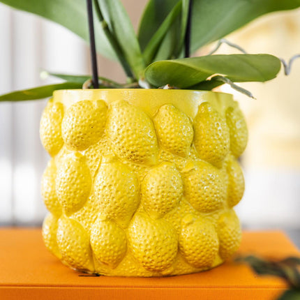 Lemon Flowerpot - Kolibri Home | Citrus pot yellow - Ø9cm
