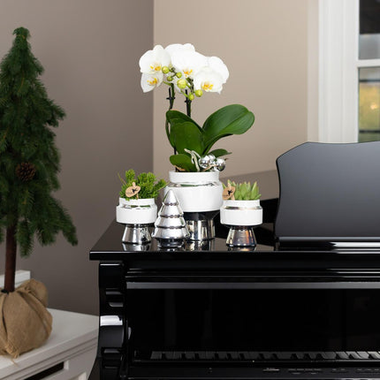 Kolibri Home | Le Chic flower pot - White ceramic decorative pot with silver details - Ø9cm