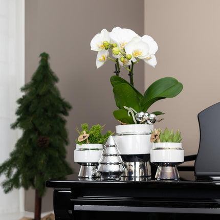 Kolibri Home | Le Chic flower pot - White ceramic decorative pot with silver details - Ø9cm