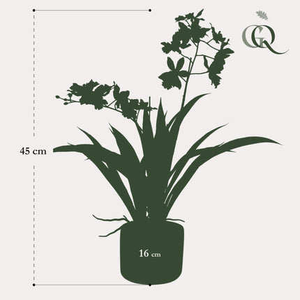 Artificial Orchid Plant - White - ↕45cm - Ø16cm
