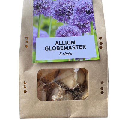 Globemaster - Allium bollen - 5 stuks - Bloembollen