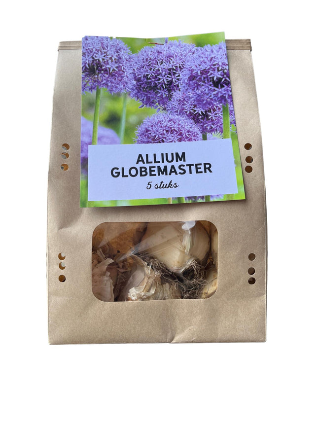 Globemaster - Bulbi di Allium - 5 pezzi - Bulbi da fiore