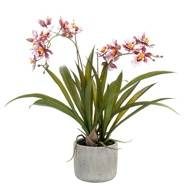 Artificial plant Orchid - Bordeaux - ↕45cm - Ø16cm