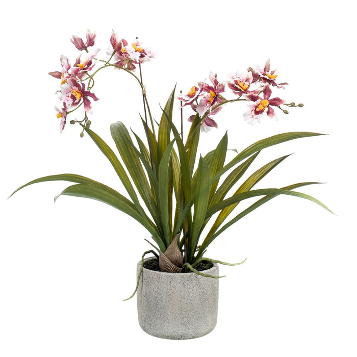 Kunstplant - Orchidee - Bordeaux - ↕45cm - Ø16cm