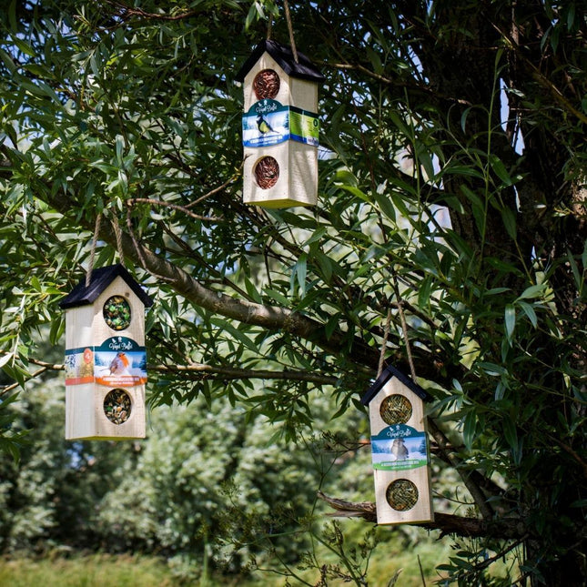 Vogelbuffet | Vogelfuttermischung „Bird Chalet Mix“, 4er-Set | 4 x 200 g