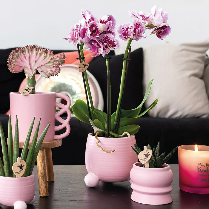 Kolibri Home | Rolling roze bloempot - roze keramieken sierpot - Ø6cm