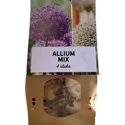 Allium Mix bollen - Bloembollen - 4x