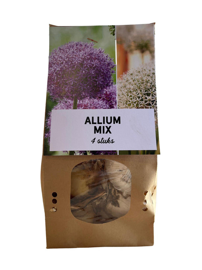 Bulbi di Allium Mix - Bulbi da fiore - 4x