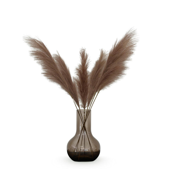 Kunstbloemen Solo - 6x - ↕115cm - Pampas Plumes - Brown