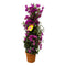 Bougainvillea