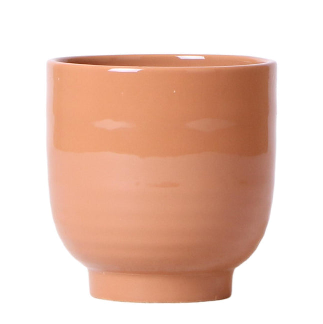 Kolibri Home | Maceta esmaltada - Maceta decorativa de cerámica color coñac con brillo - Ø12cm